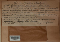 Image Associated With the Occurence